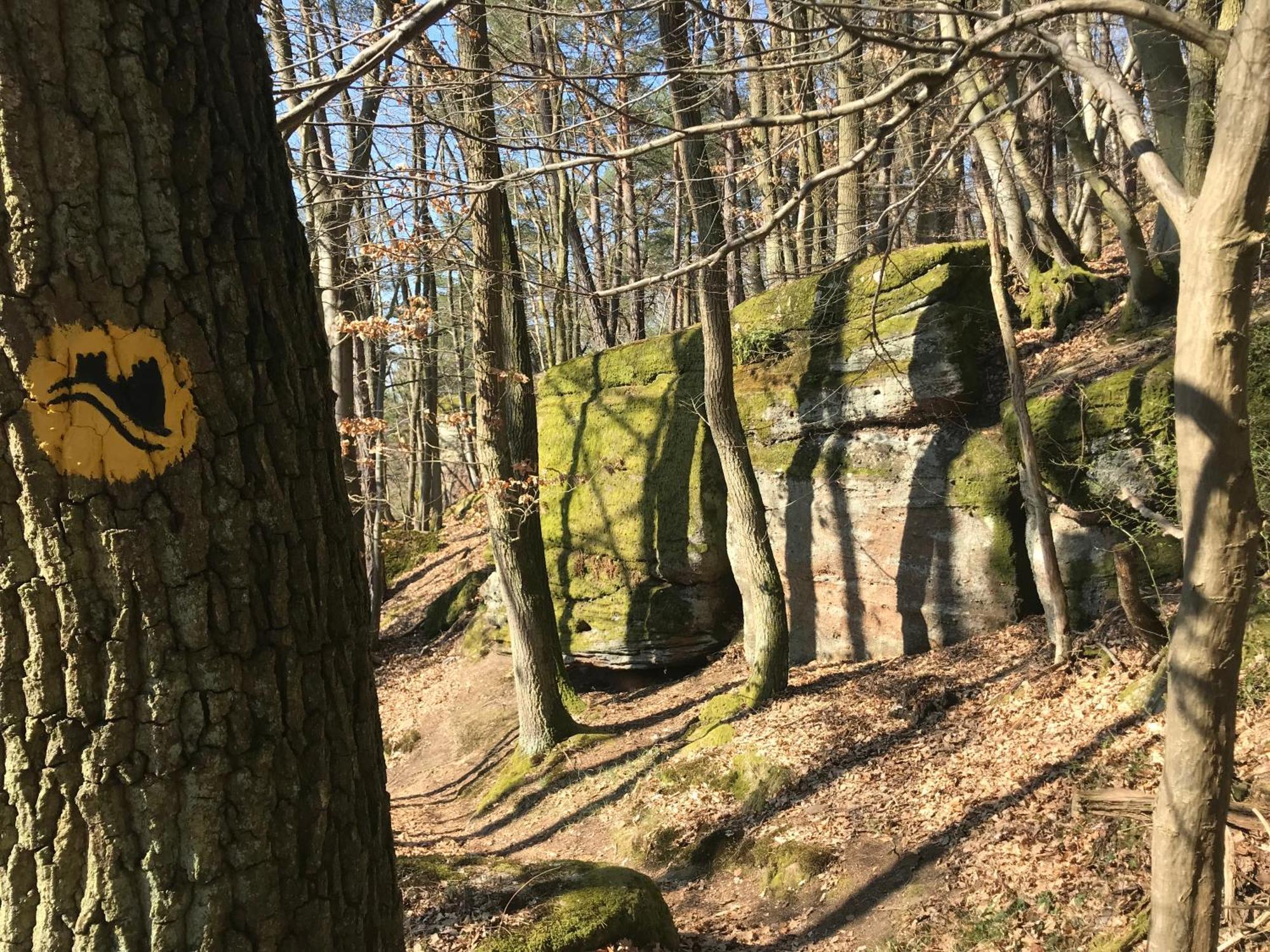 Ferienapartment Burgstrasse Ost Mit Garten Und Sauna * Altleiningen